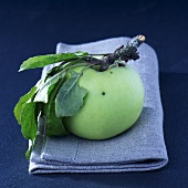 A dessert apple on a linen cloth