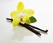 A vanilla flower and two vanilla pods