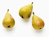 Three Guyot pears
