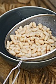 Tinned white beans in a sieve