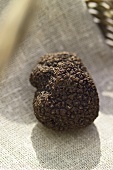 A black truffle on a linen cloth