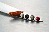Peppercorns and chilli on a knife blade