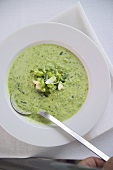Cold minted pea soup with yoghurt and Parmesan