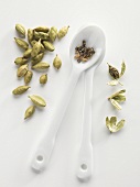Cardamom pods and seeds on a porcelain spoon