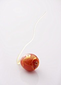 A caramelised cranberry