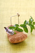 Sprig of mint on a terracotta foot