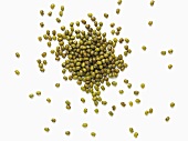 Green soya beans