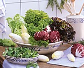 Stillleben mit verschiedenen Salaten