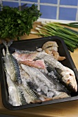 Assorted saltwater fish with ice on a baking tray
