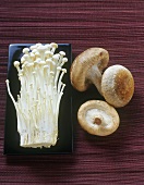 Enoki- und Shiitake-Pilze