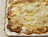 Potato gratin in a baking dish