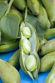 Broad beans: beans and pods