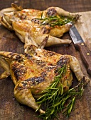 Two grilled, whole chickens with rosemary