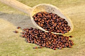 Jujube seeds (Ziziphus spinosa) with wooden spoon