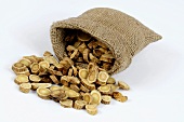 Slices of astragalus root spilling out of a jute sack