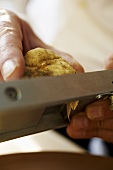 Man shaving white Alba truffle on a truffle slicer