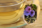 Getrocknetes Lungenkraut mit Blüten und einer Tasse Tee