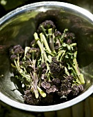 Purple sprouting broccoli in a metal bowl