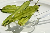 Winged beans (Psophocarpus tetragonolobus)