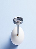 A boiled egg with a thermometer
