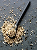 Dried yeast on and beside a spoon