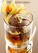 Vanilla ice cream with chocolate sauce, gold leaf & physalis