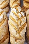 Several loaves of white bread