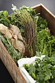 Assorted fresh herbs in a wooden box