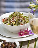 Reissalat mit Alfalfasprossen, Oliven, Kichererbsen, Tomaten