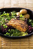 Fried salmon with cumin and coriander on salad leaves