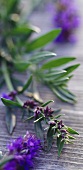 Hyssop with flowers on wooden background