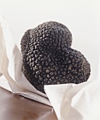 Black truffle on paper