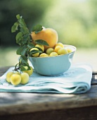 A bowl of mirabelles with a peach out of doors