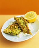 Fried fish in herb coating on cauliflower puree