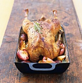 Duck in roasting dish with apples and rosemary