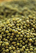 Mung beans, full-frame