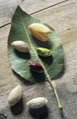 Shelled and unshelled pistachios with a leaf