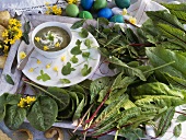 Sorrel soup with various types of sorrel