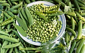 Plate of peas and pea pods surrounded by pea pods