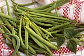 French beans on a tea towel