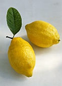 Two lemons with leaf