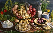Several varieties of potatoes with mashed and boiled potatoes