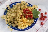Plate of white- and redcurrants on tea towel