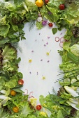 Assorted salad leaves and herbs forming a frame