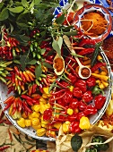 Assorted chillies, fresh and ground