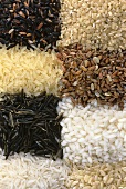 Acht verschiedene Reissorten
