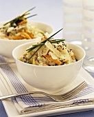Risotto with vegetables and mushrooms
