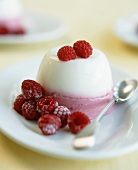 Berry yoghurt cream with fresh raspberries