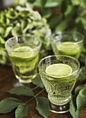 Elderflower soda with limes