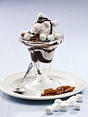 A ice cream sundae with marshmallows